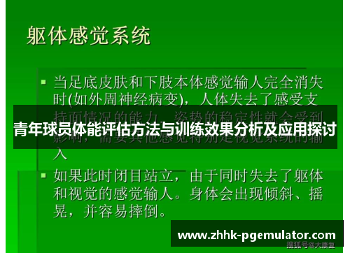 青年球员体能评估方法与训练效果分析及应用探讨