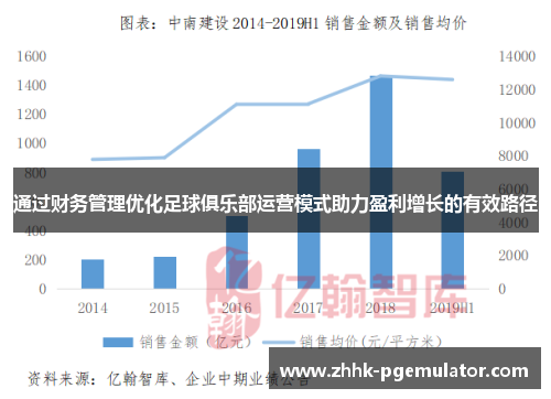 通过财务管理优化足球俱乐部运营模式助力盈利增长的有效路径