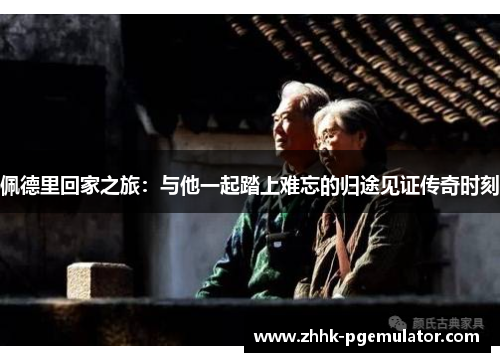 佩德里回家之旅：与他一起踏上难忘的归途见证传奇时刻