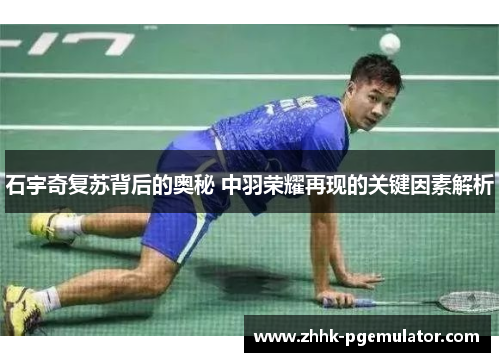 石宇奇复苏背后的奥秘 中羽荣耀再现的关键因素解析