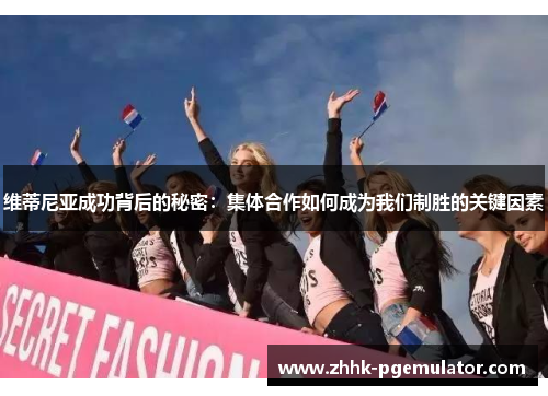 维蒂尼亚成功背后的秘密：集体合作如何成为我们制胜的关键因素